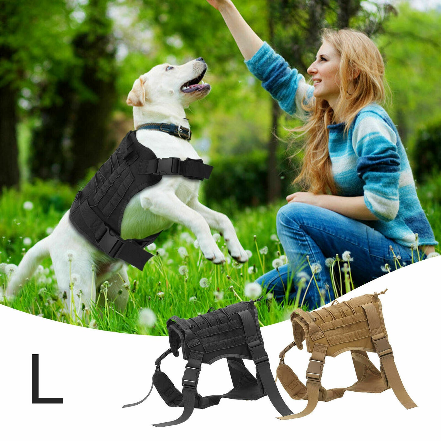 889fc80adda7c70c6dafc262f66b3869